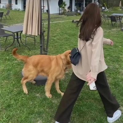 监护者